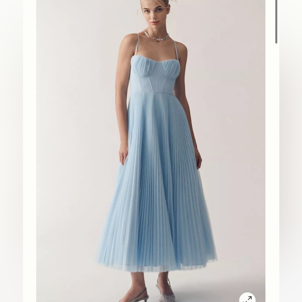Hutch Amara Corset Pleated Tulle Fit & Flare Midi Dress
